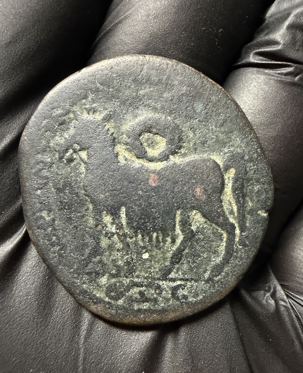 Ancient Caracalla AE29 Mopsus Cilicia Mule Animal Reverse Roman Coin