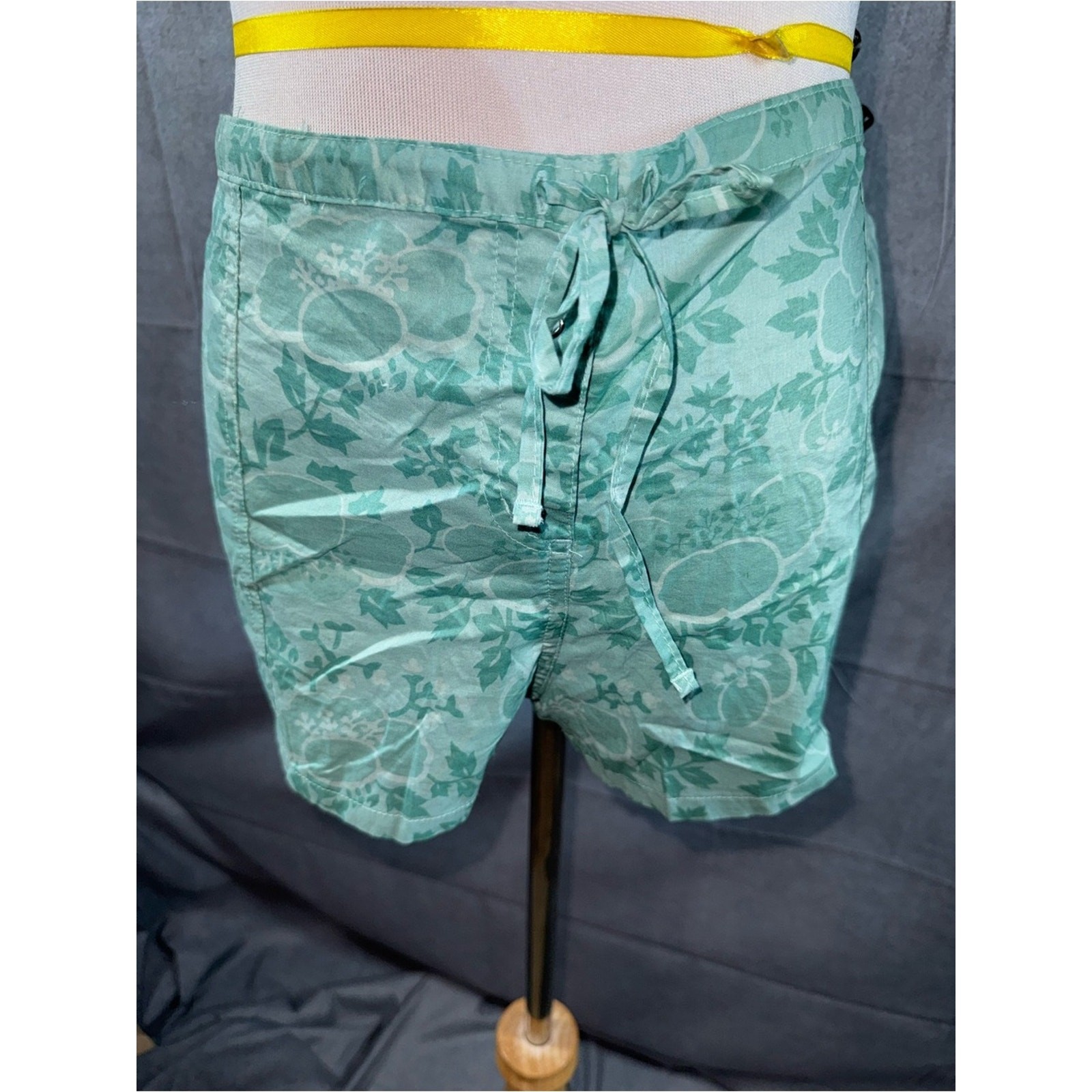 2867-American Eagle Outfitters Mint Green Floral Drawstring Shorts