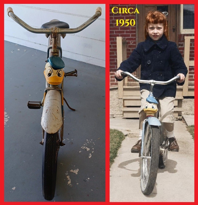 Circa 1950 - Rare DONALD DUCK Girls Bike - Made by SHELBY - Disney