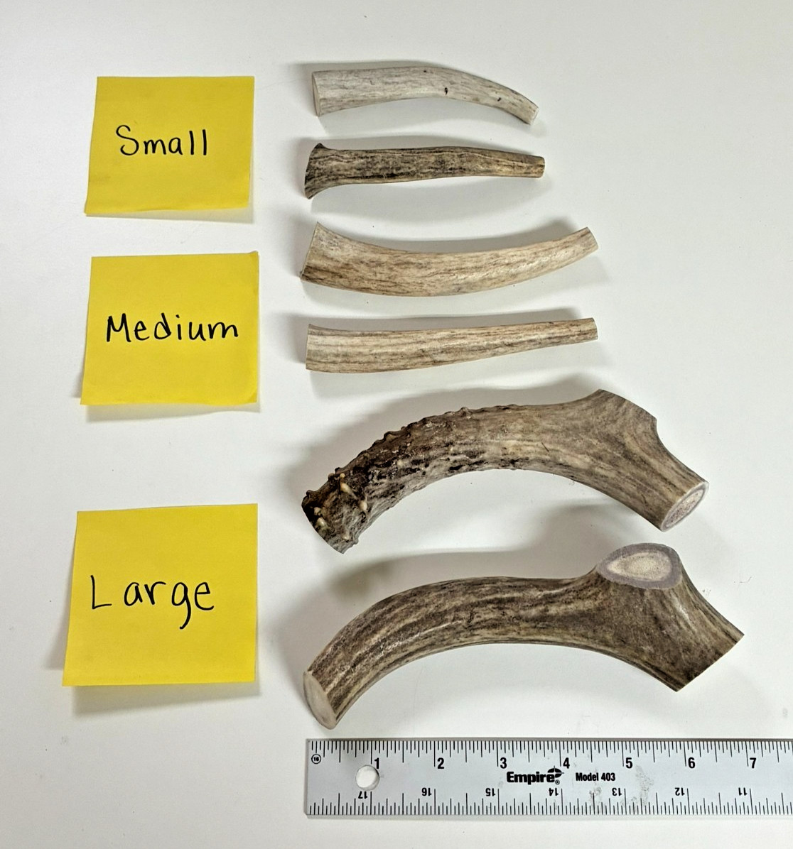 Premium Natural Deer Antler Dog Chews **2 Pack** USA (SMALL, MEDIUM, or LARGE)
