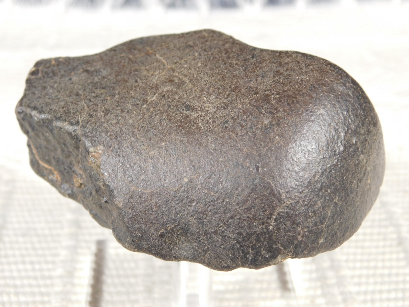 wOw Larger Stony METEORITE with DARK Silky Fusion Crust FELL in Libya 219gr