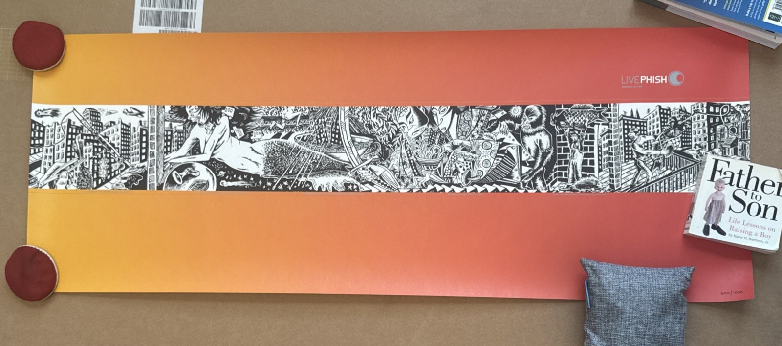 Jim Pollock 2001 Live Phish Album Art Poster Signed Limited 1st Edition Rare Jim Pollock 2001 Live Phish Album Art Poster Signed Limited 1st Edition Rare
