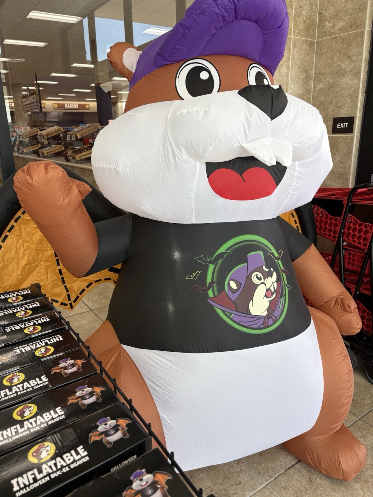 Buc-ee\'s Halloween Bat Beaver Mascot 6\' Ft Inflatable Halloween Lighted NEW NIB