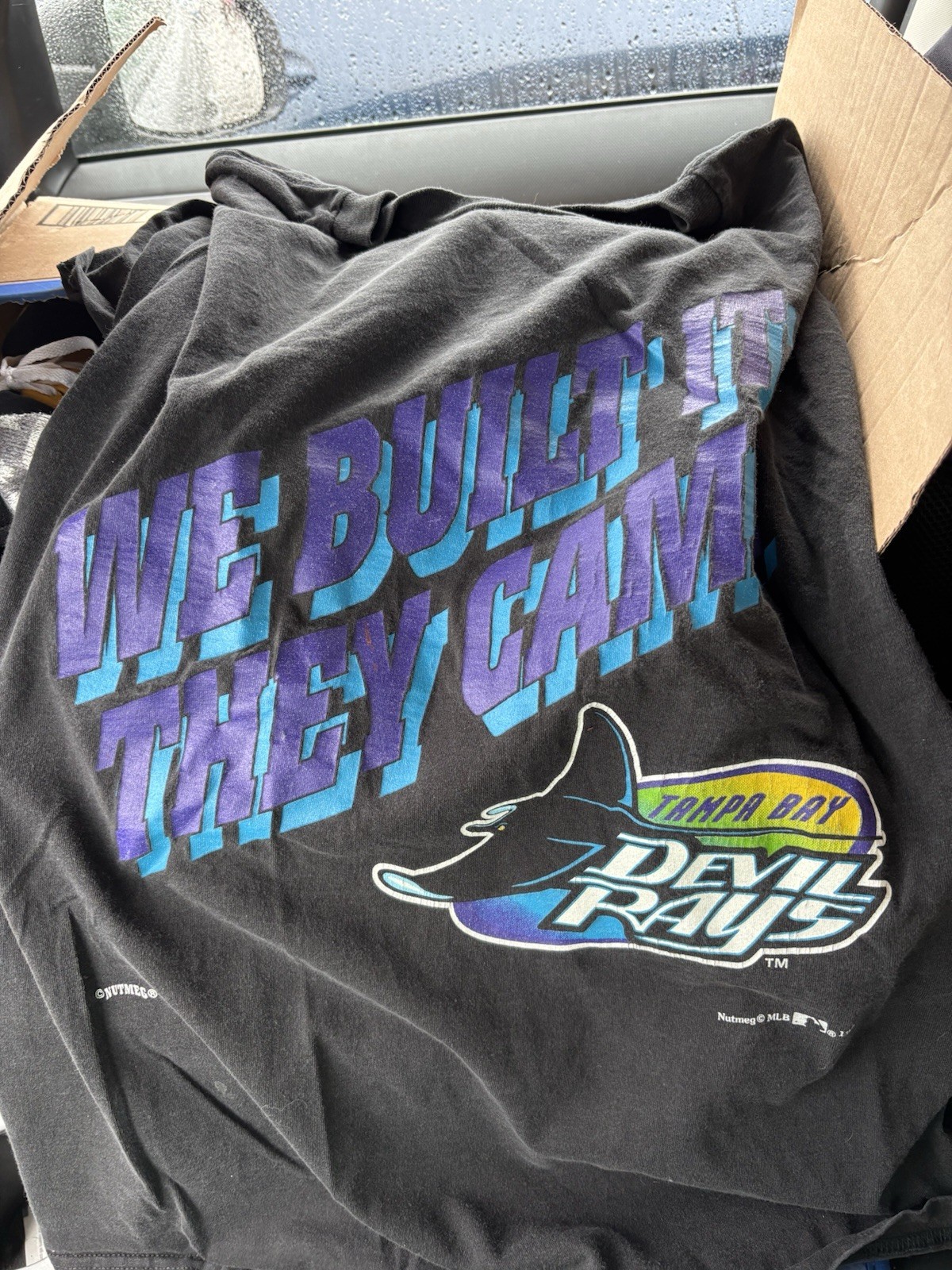Vintage 1995 Nutmeg Tampa Bay Devil Rays (We Built It, They Came) Shirt Large Vintage 1995 Nutmeg Tampa Bay Devil Rays (We Built It, They Came) Shirt Large
