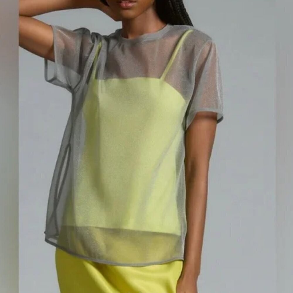 Anthropologie Sheer Top Anthropologie Sheer Top