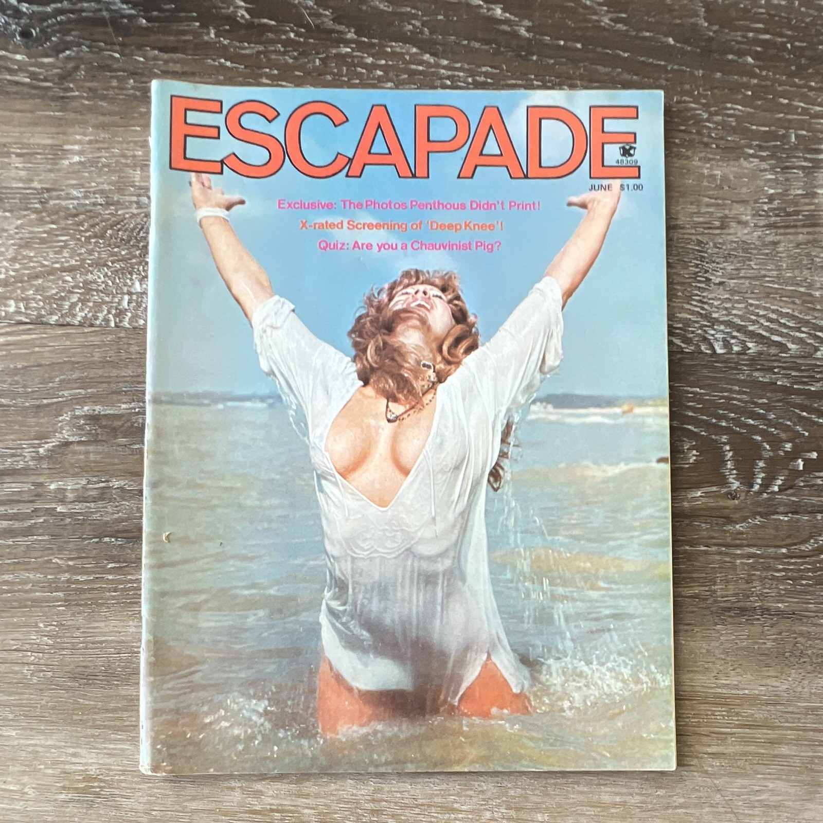 Escapade 1976 June Vintage Magazine Escapade 1976 June Vintage Magazine
