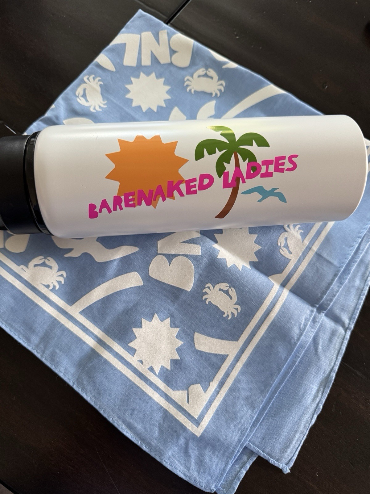 Barenaked Ladies Swag 2026 Concert Water Bottle and Bandanna Set