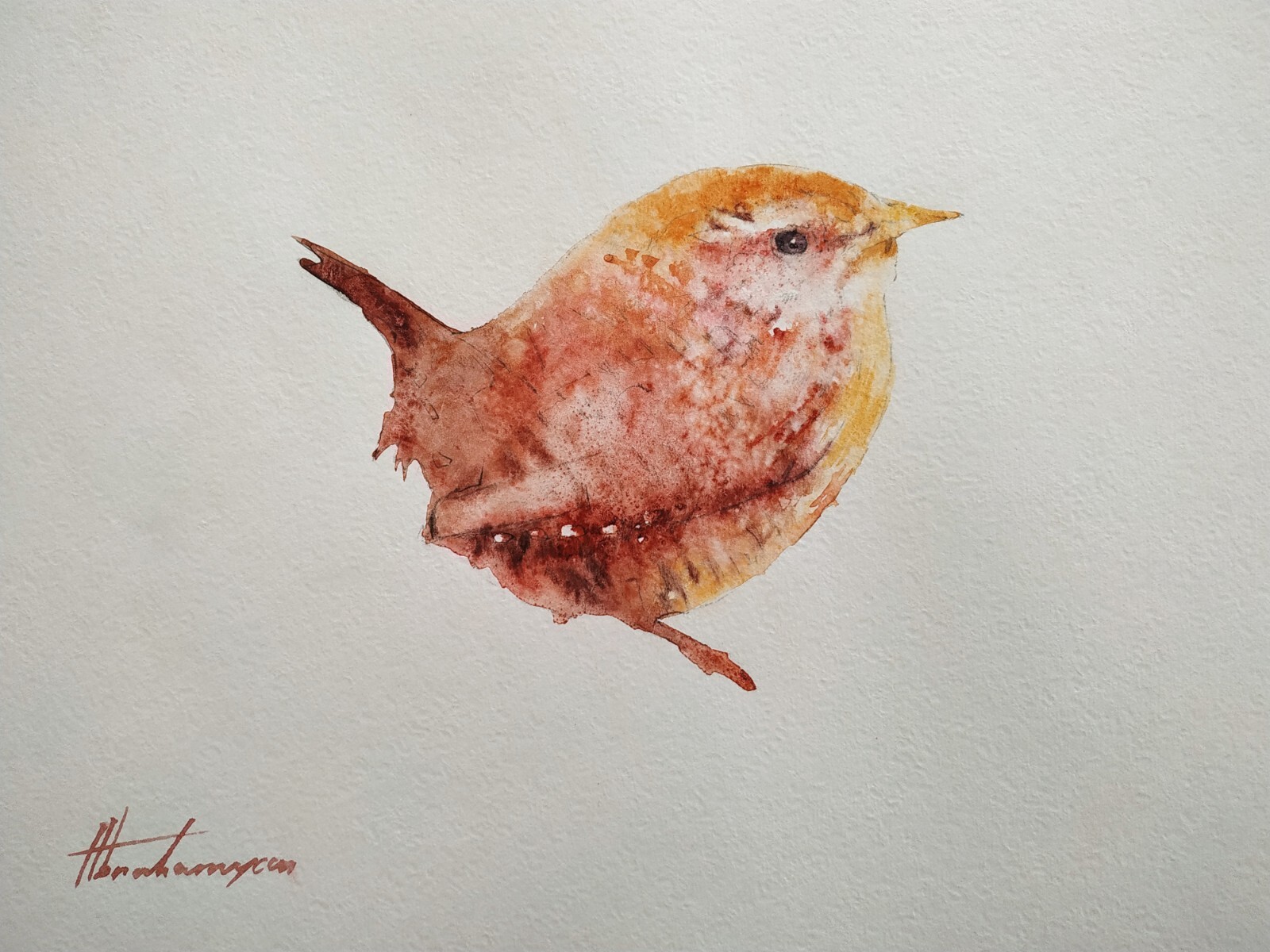 Wren, Birds, Watercolor artwork, Handmade, Original painting on paper