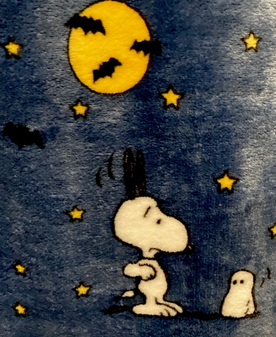 Peanuts Snoopy Blanket Blue Berkshire Halloween Night Star Moon Bats Throw 60x70