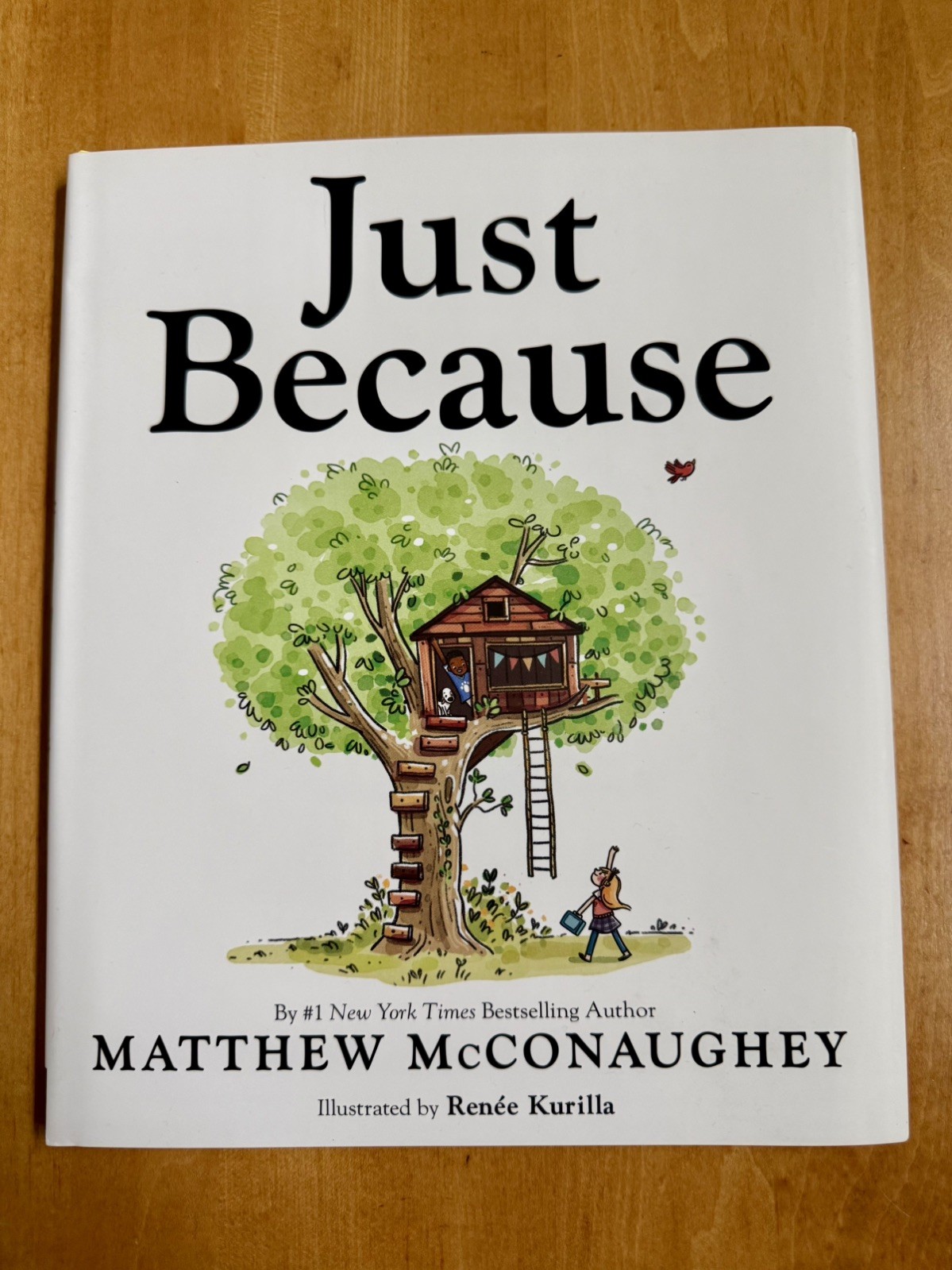 Just Because Matthew McConaughey SIGNED (2023,HCDJ, 1ST PRINTING) Just Because Matthew McConaughey SIGNED (2023,HCDJ, 1ST PRINTING)