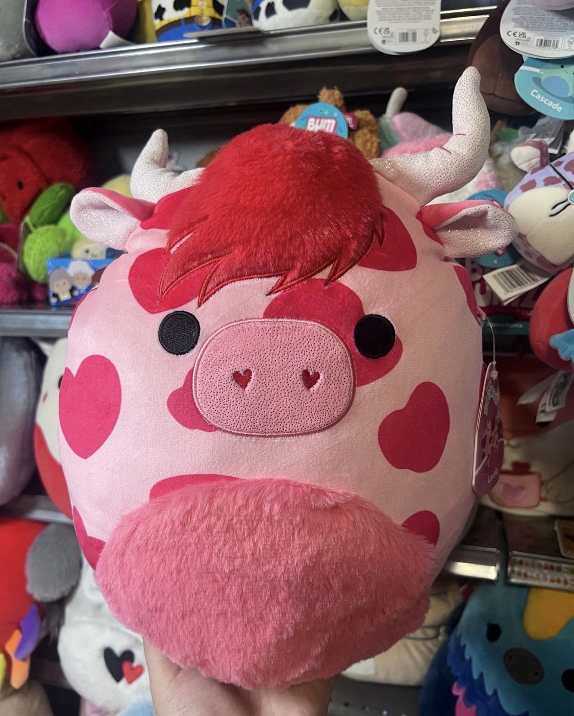 Squishmallow LAURIE HIGHLAND COW RED & PINK HEARTS 12” Valentines Plush NWT