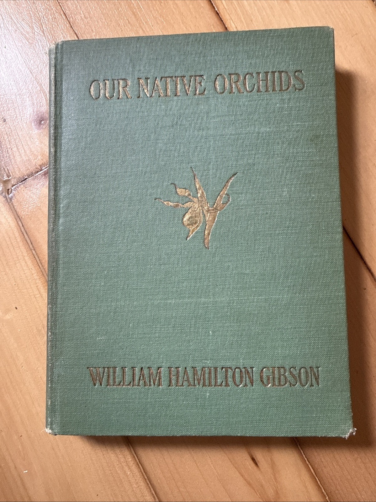 1905 1st Ed., Our Native Orchids, William Hamilton Gibson, Illustrated