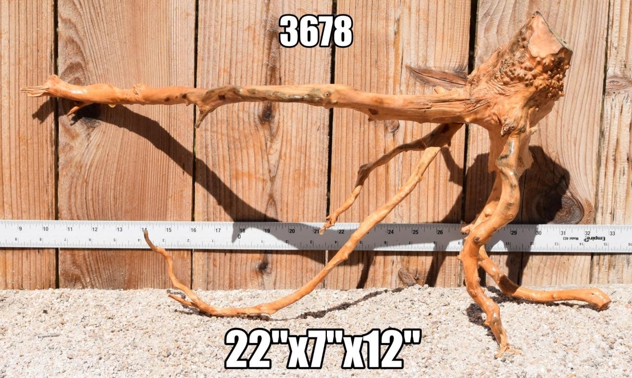 SPIDERWOOD DRIFTWOOD #3678 Aquarium décor centerpiece WYSIWYG