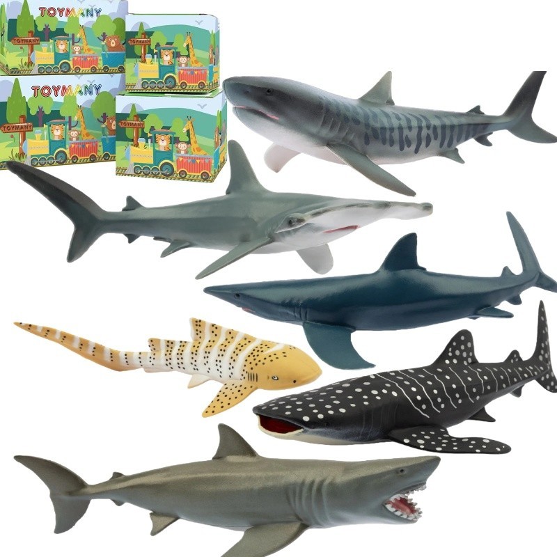 Toymany 6PCS 5-6