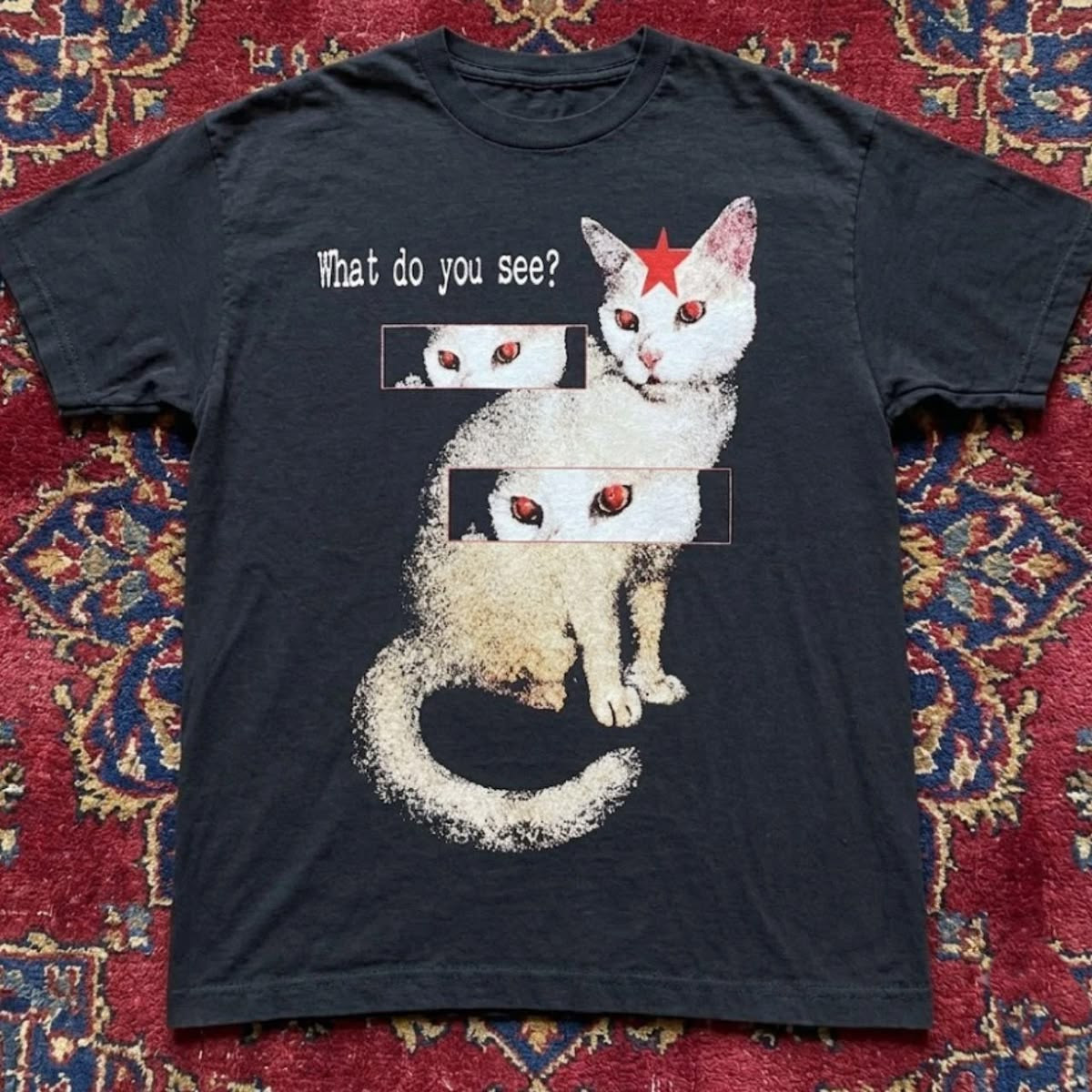 Funny What do you see Short Sleeve Gray Print Unisex T- Shirt Full Size S- 5XL