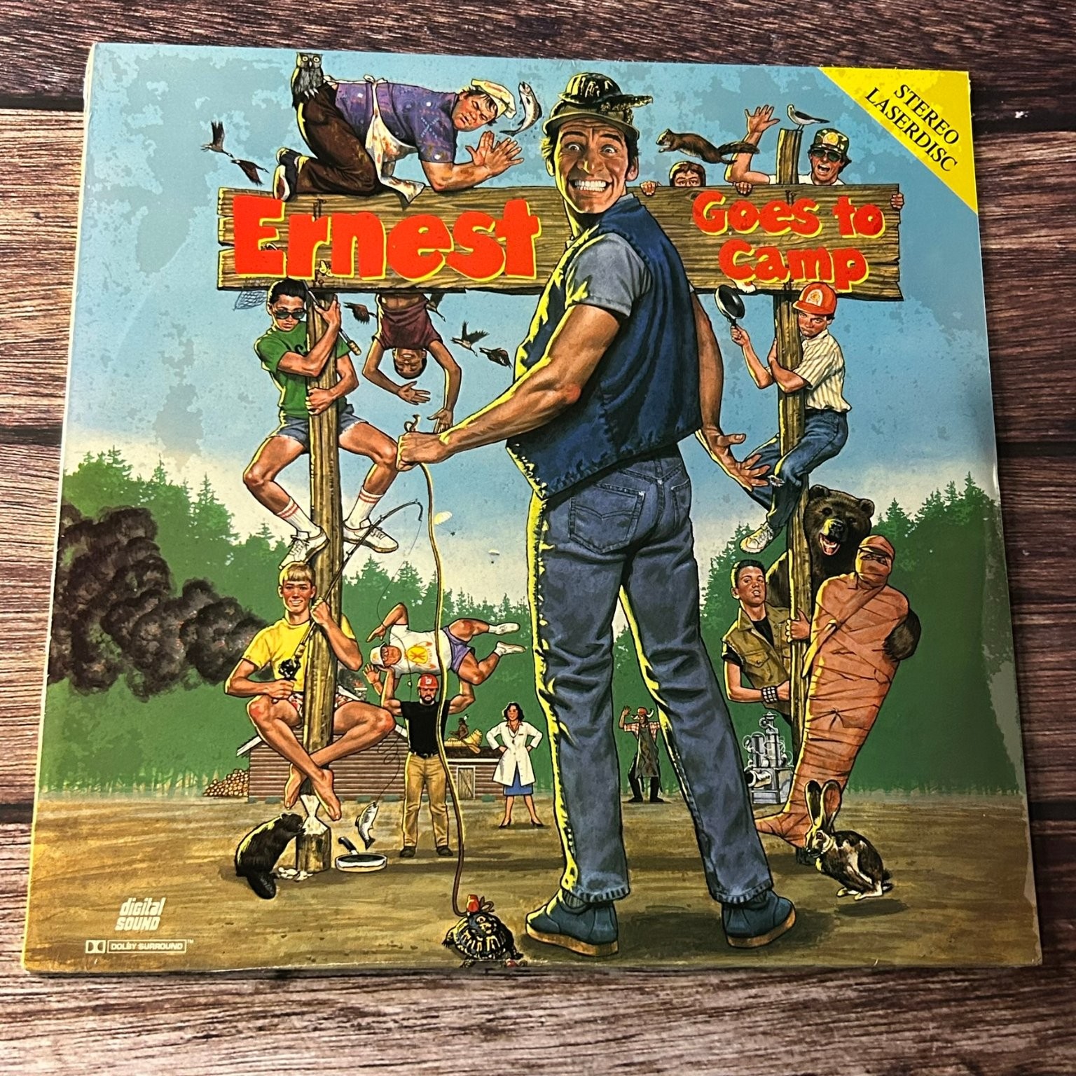 Ernest Goes to Camp LaserDisc 1987Comedy Jim Varney NOS Sealed WOW Ultra Rare