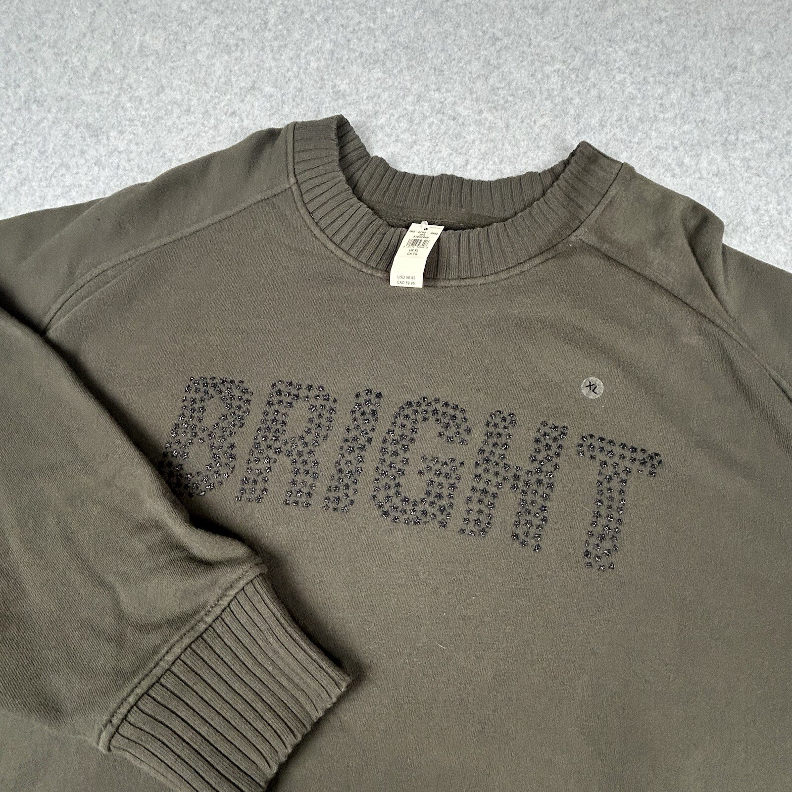 RARE Aerie Oversize Down to Earth BRIGHT Sweatshirt Women Sz XL Nomad Olive READ