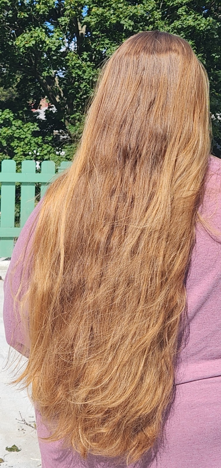 Raw unprocessed virgin hair. Smoke free. Not dyed. Strawberry blonde/copper.