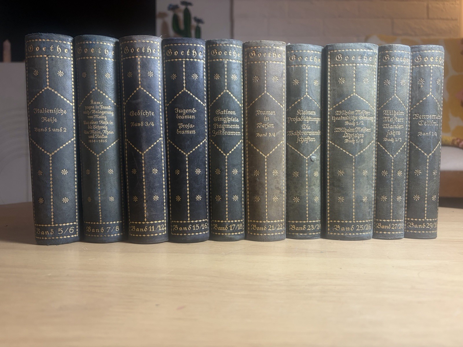 Goethe Werke 1924 German 20 Bands in 10 Volumes Half Leather Partial Set ~ GOOD