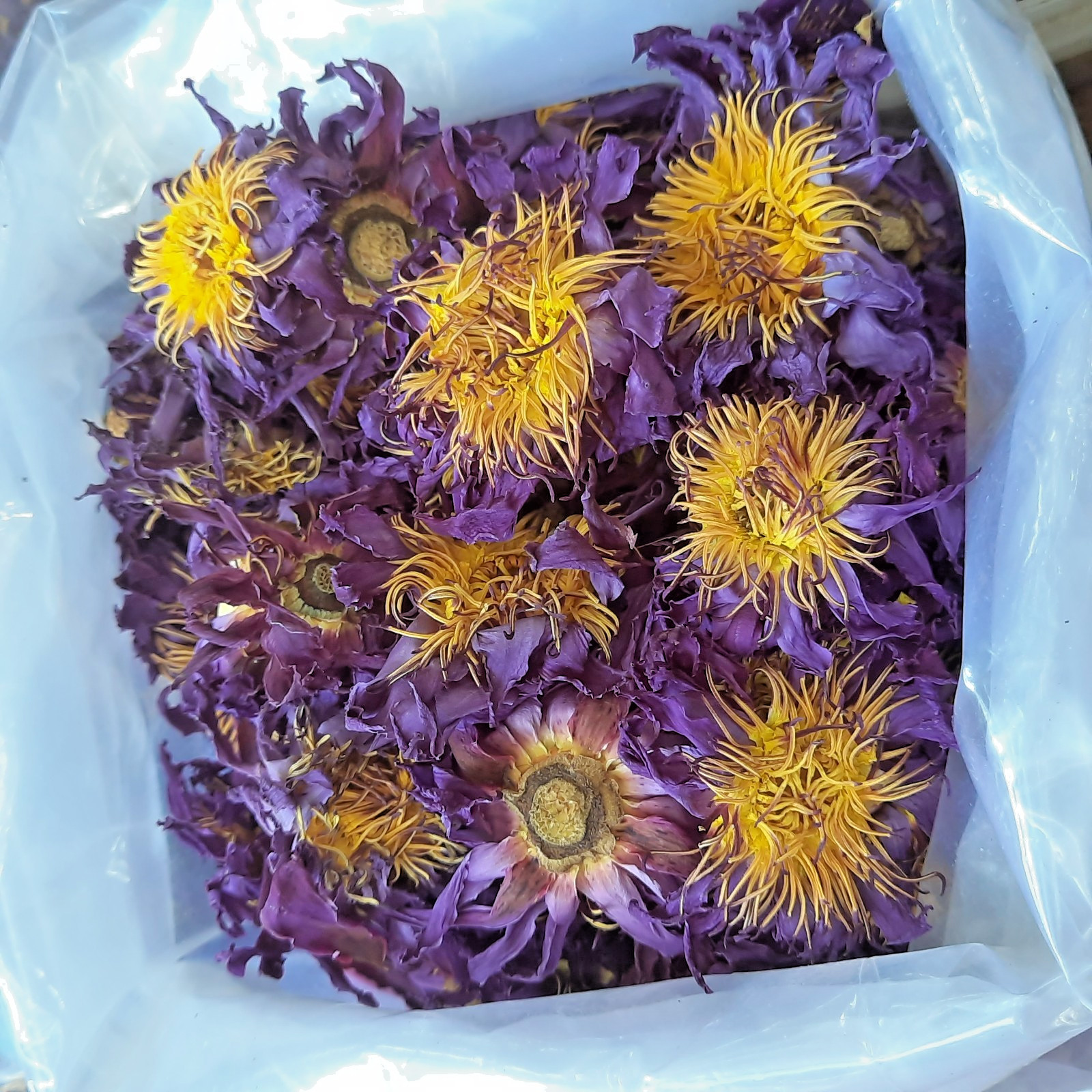 1kg Egyptian Blue Lotus Flowers π§ 100% Organic Herbal Tea β Nymphaea Caerulea+ 1kg Egyptian Blue Lotus Flowers π§ 100% Organic Herbal Tea β Nymphaea Caerulea+
