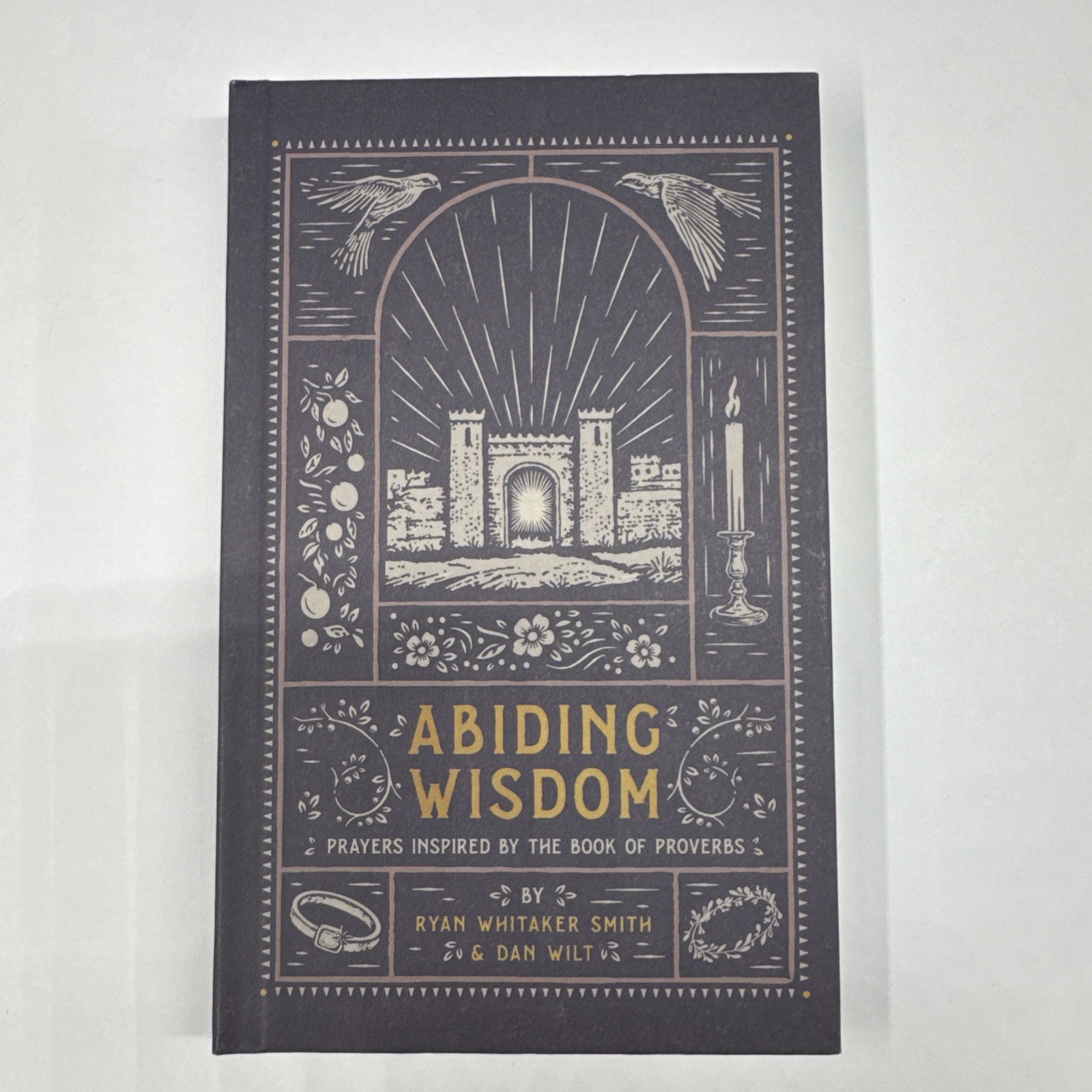 Abiding Wisdom Ryan Whitaker Smith Dan Wilt Hardcover Devotional Like New Book