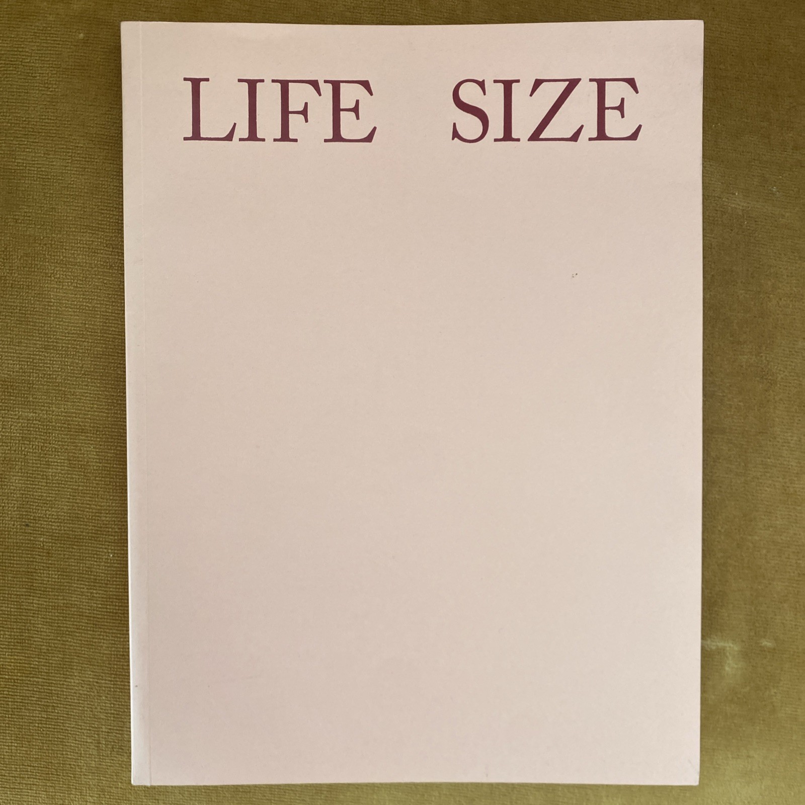 Sam Falls Life Size Karma Books 2012 1st Edition Brand New Sam Falls Life Size Karma Books 2012 1st Edition Brand New