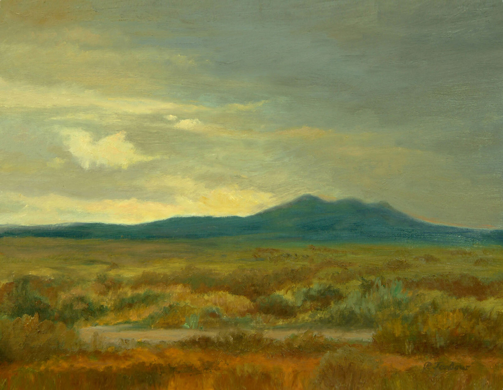 NEW MEXICO, MONSOON SEASON LANDSCAPE 11\