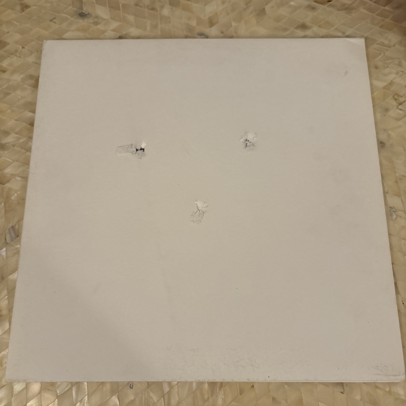 The Muslims - The Muslims Vinyl LP - The Soft Pack - Bullet Holes In Sleeve The Muslims - The Muslims Vinyl LP - The Soft Pack - Bullet Holes In Sleeve
