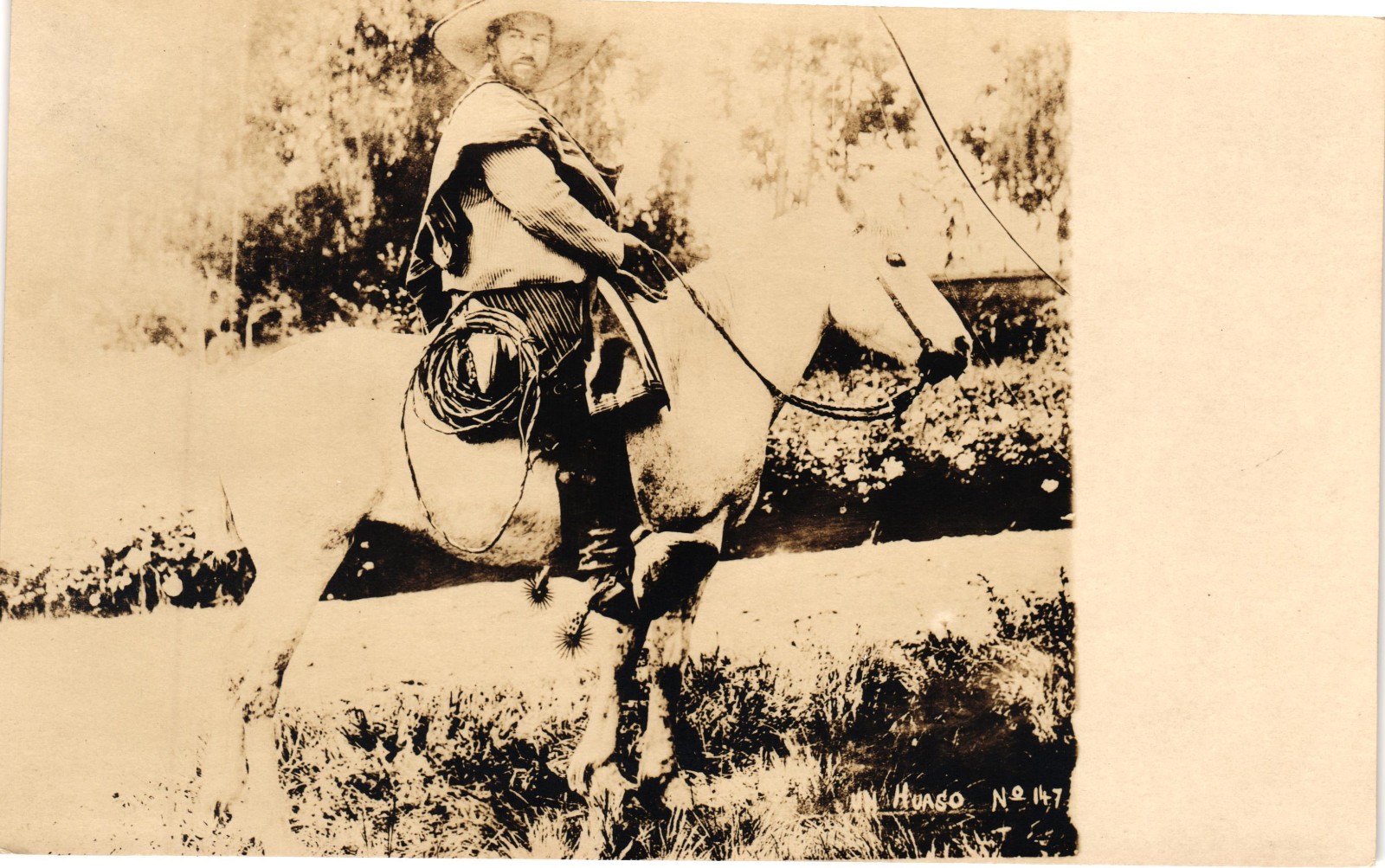 Vintage Chilean Huaso Cowboy Horseback Real Photo Postcard Chile Unused RPPC Vintage Chilean Huaso Cowboy Horseback Real Photo Postcard Chile Unused RPPC