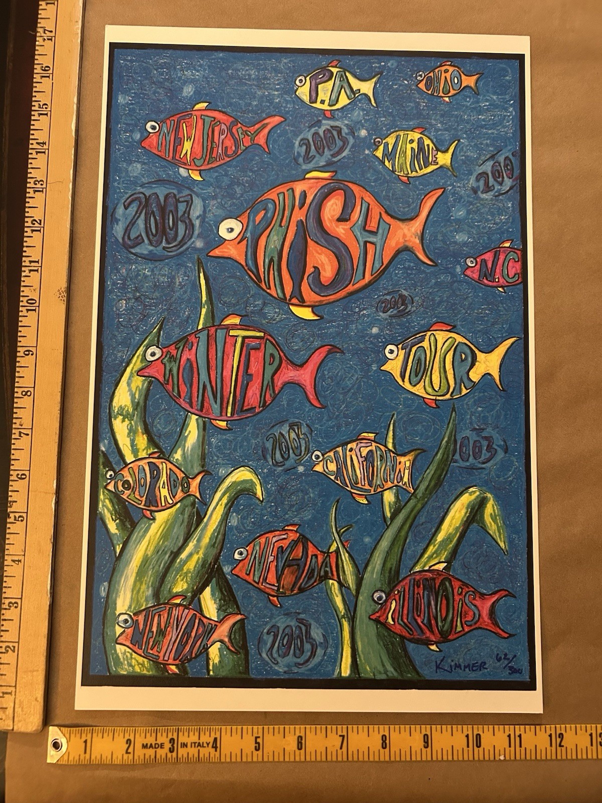 2003 Phish Winter Tour Poster Signed Kimmer Rare Art 62/300