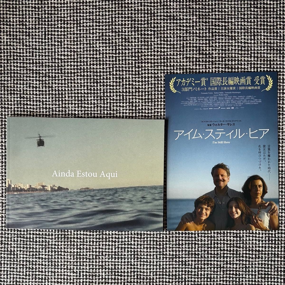 Movie I\'m Still Here program Ainda Estou Aqui