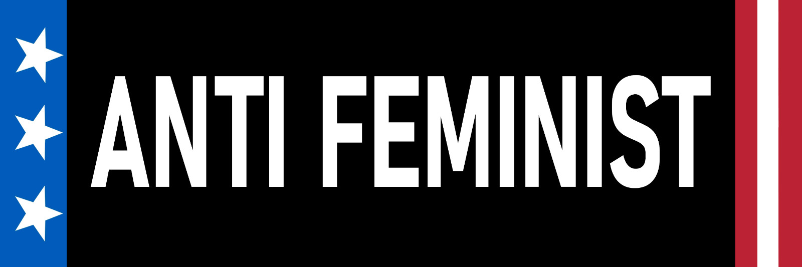Anti Feminist Sticker Large 3x9\