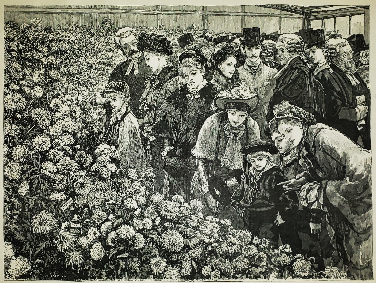 WILLIAM SMALL 1843-1929 Antique Original SIGNED Victorian ENGRAVING Flower Show