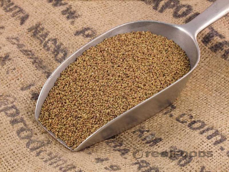 Organic Alfalfa Sprouting Seeds Certified (NON-GMO) -  1 lb.