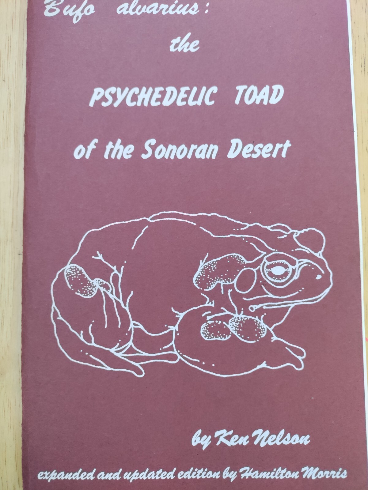Bufo Alvarius: The Psychedelic Toad of the Sonoran Desert By Ken Nelson