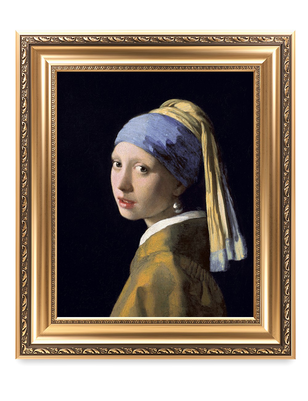 DECORARTS Girl With A Pearl Earring Canvas Painting Framed Wall Art Print 20x16\