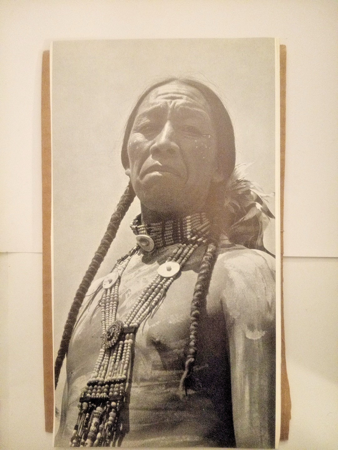This portrait shows Iron White Man, a prominent Oglala Lakota Sioux man, 1898