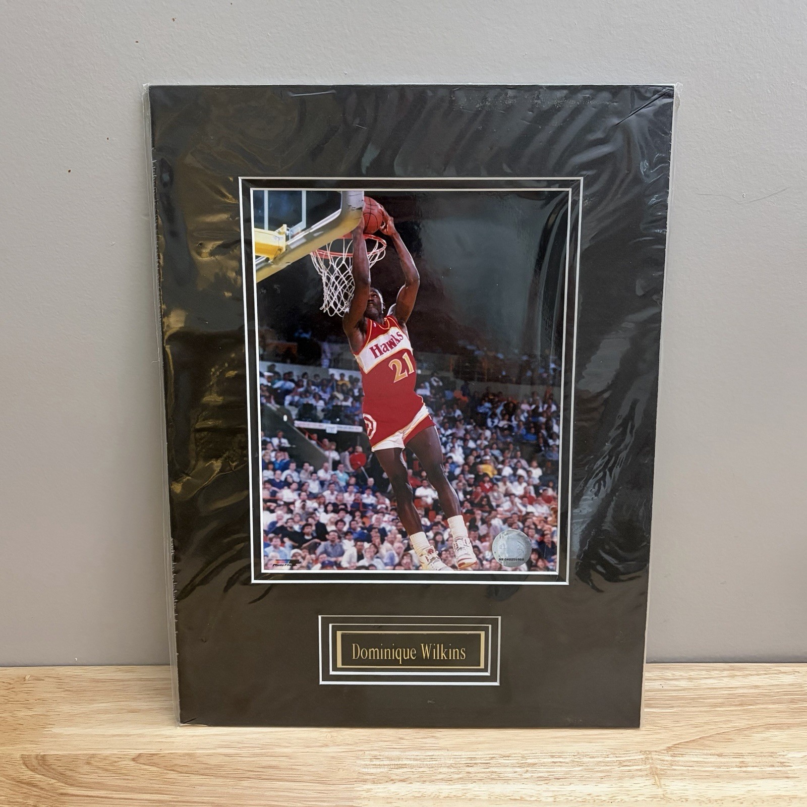 Dominique Wilkins Atlanta Hawks NBA 12x16 Double Matted Photo Hot Shots USA