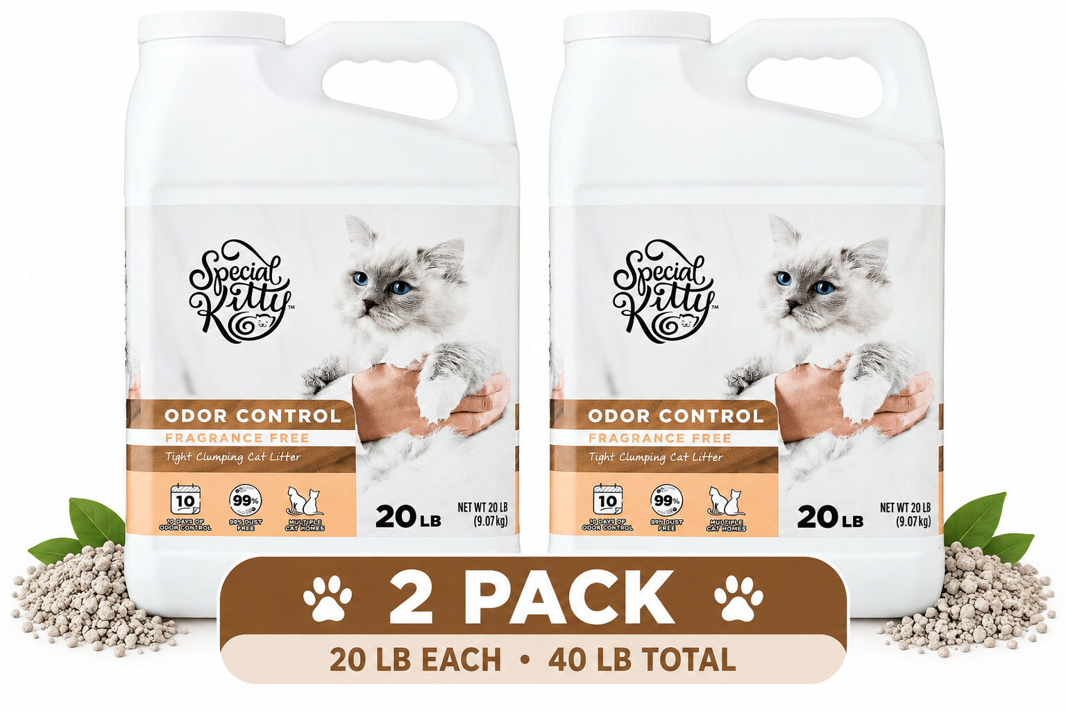 (2 Pack) Special Kitty Clumping Clay Cat Litter, Unscented, 20 lbs Jug