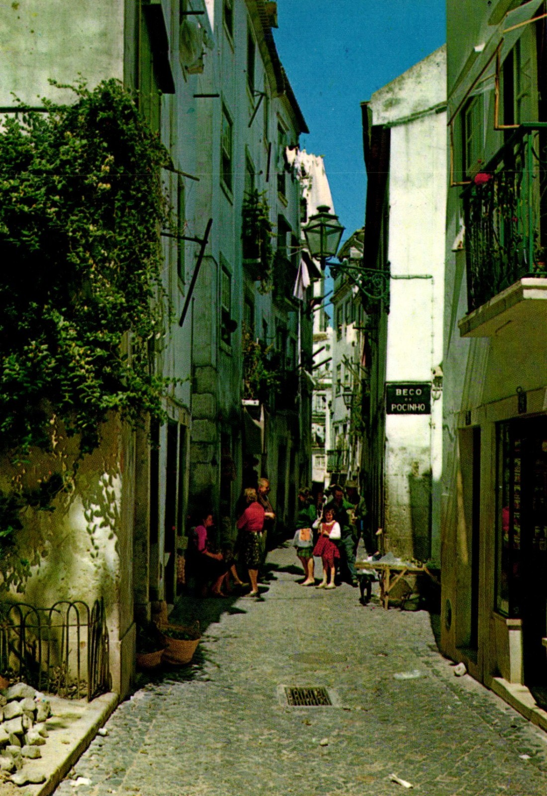 Old Lisbon Lisboa Portugal Postcard