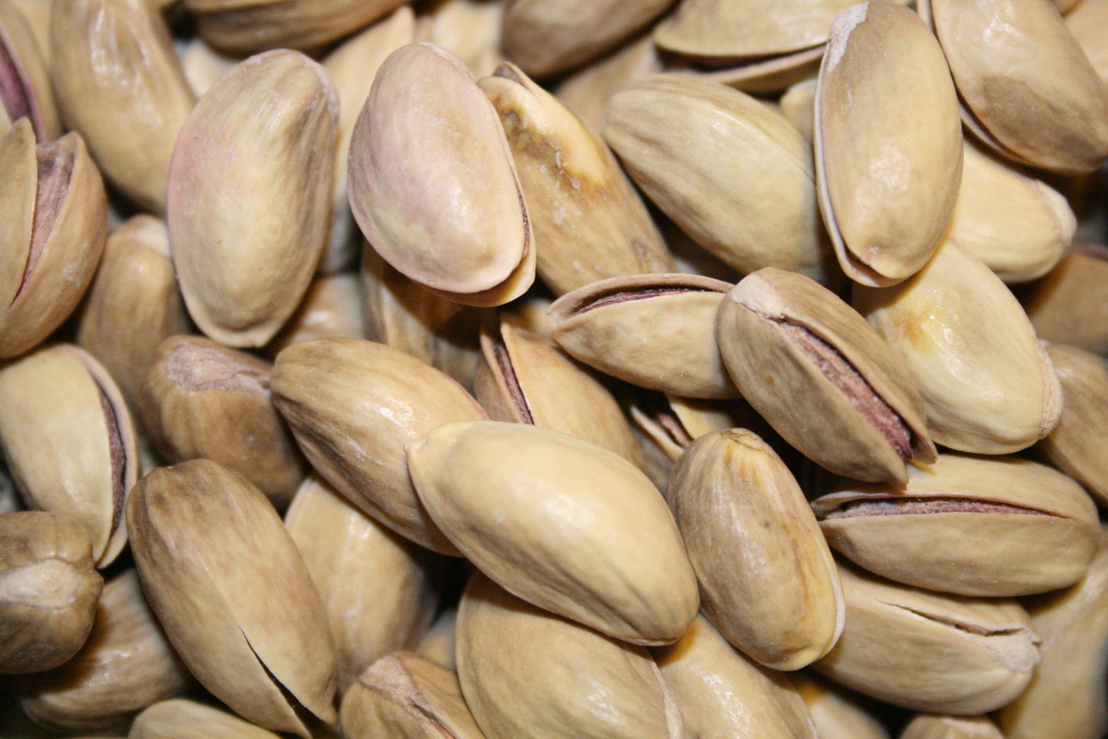 Turkish Pistachios Antep InShell Roasted and Salted (2 Pound) - 