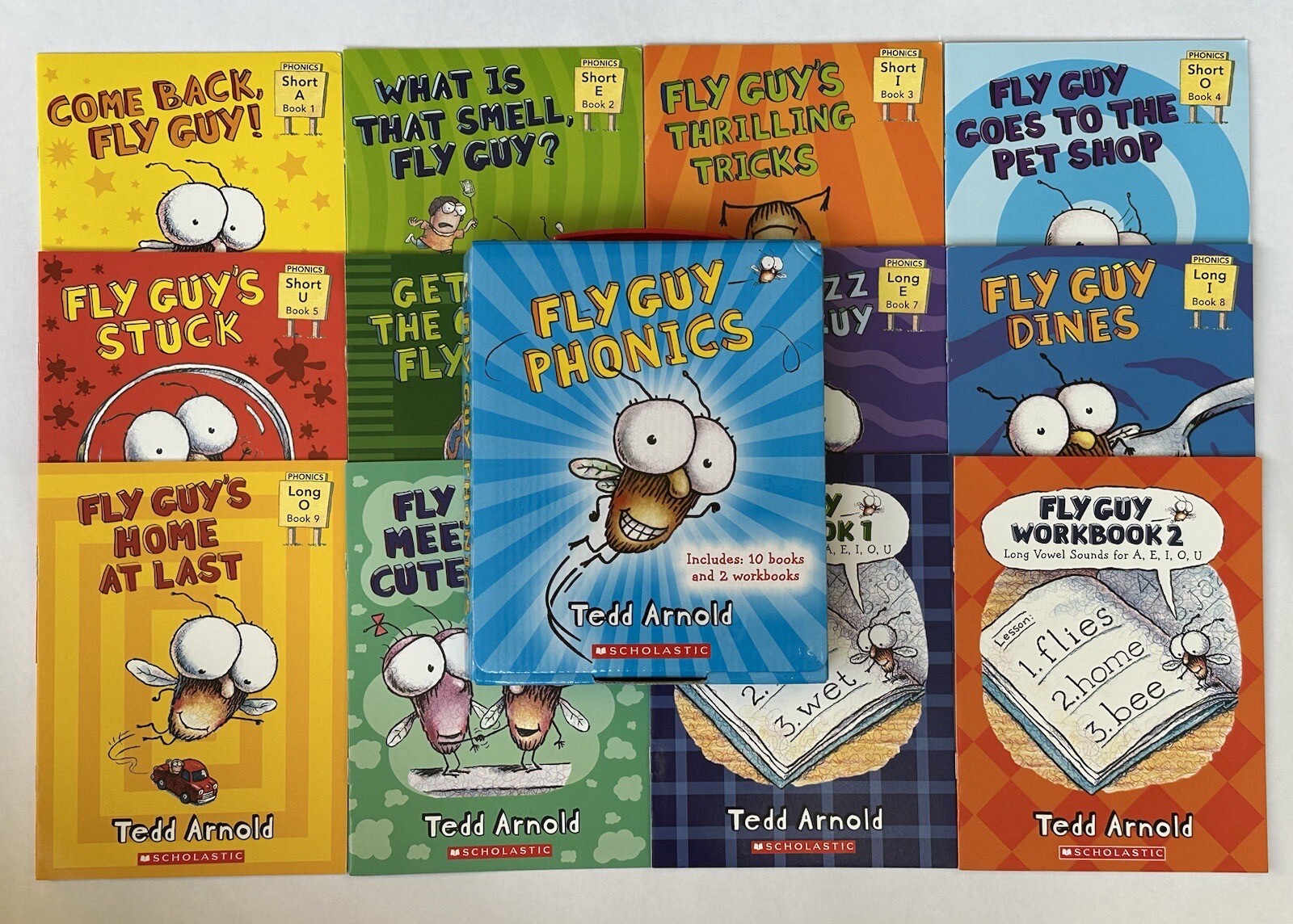 Fly Guy Phonics Children’s Books Beginning Readers Lot 12 