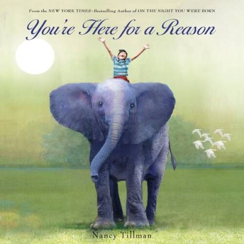 You\'re Here for a Reason - Board book By Tillman, Nancy - GOOD
