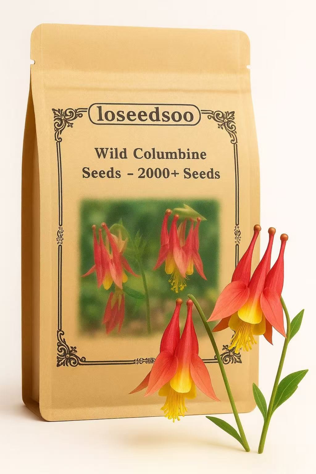 Wild Columbine Seeds – 2000+ Perennial Flower Seeds Wild Columbine Seeds – 2000+ Perennial Flower Seeds