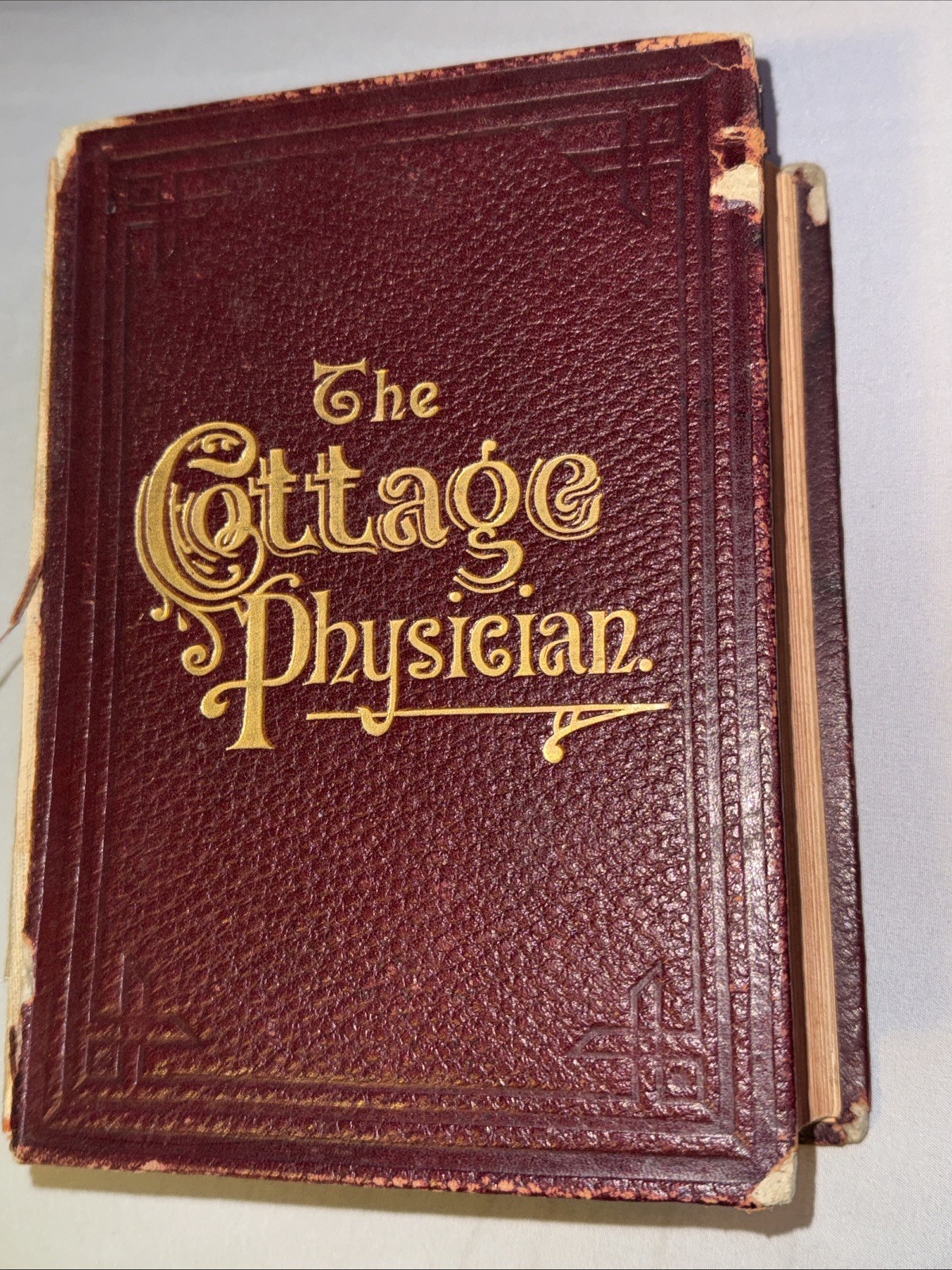 The Cottage Physician For Individual & Family Use 1897 Antique Medical Book HC