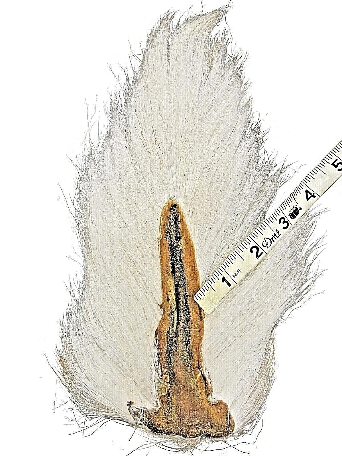SupplyIt 100 Large Northern Bucktail Natural White Fly Tying Material Deer Hair