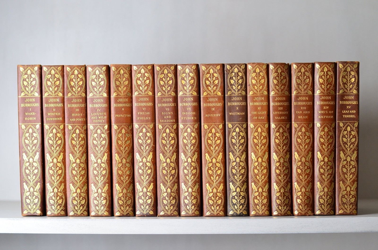 Antique Leather Bound Complete Writings of John Burroughs 1904 - Nature