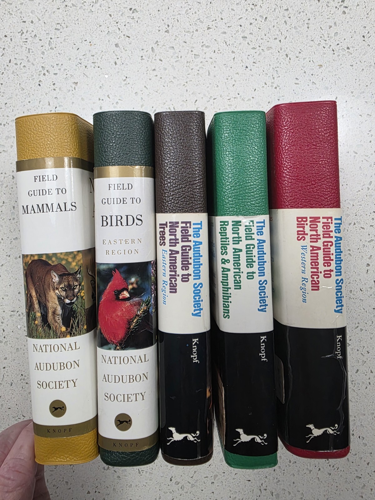 Five Vintage National Audubon Society Field Guides 1970\'s - 1980\'s Five Vintage National Audubon Society Field Guides 1970\'s - 1980\'s