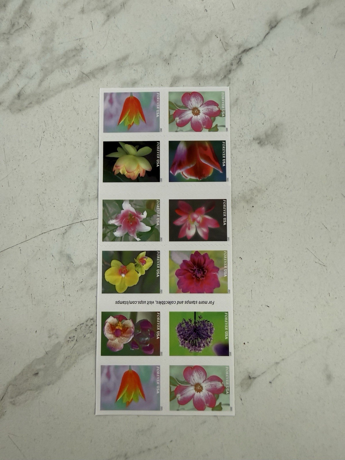 Mint US Garden Beauty Booklet Pane of 20 Forever Stamps Scott# 5567b (MNH)