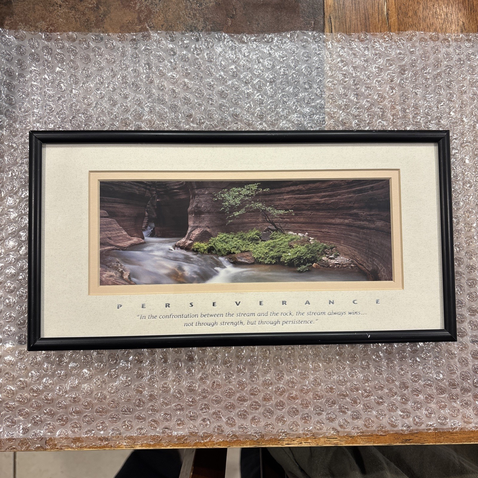 Redbud Tree, Grand Canyon National Park, AZ Framed 12”x6.25” Redbud Tree, Grand Canyon National Park, AZ Framed 12”x6.25”